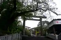 伊勢山皇大神宮の鳥居