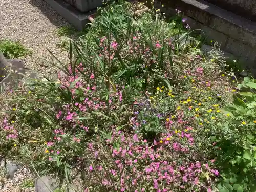 三輪神社の自然