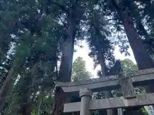 大宮温泉神社(栃木県)(2023年08月26日(土) 20時33分55秒投稿)