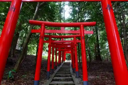 高鴨神社の鳥居