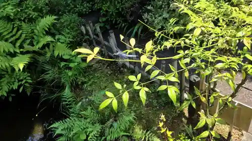 霊源院(京都府)