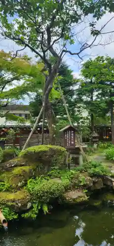 西方寺の庭園