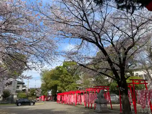 於菊稲荷神社の建物その他