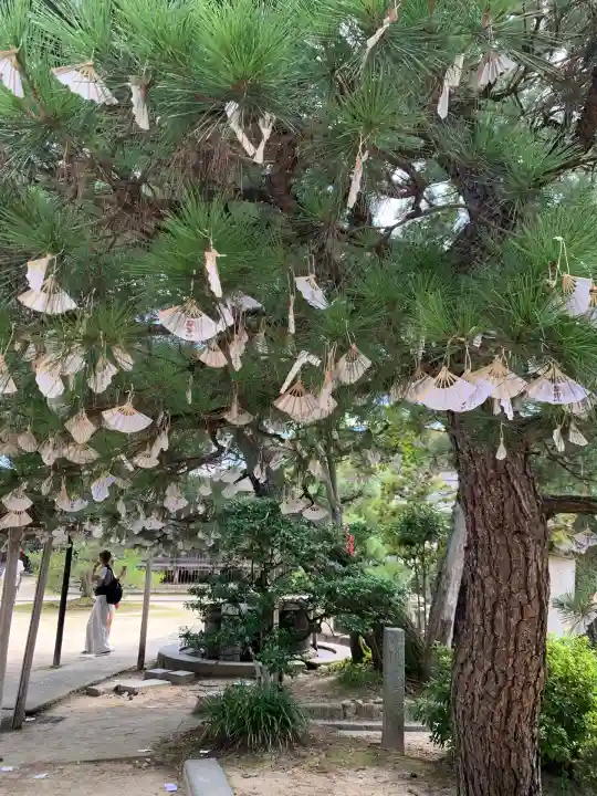 智恩寺(京都府)