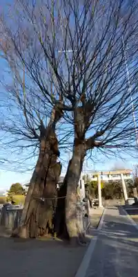 真田神社(神奈川県)