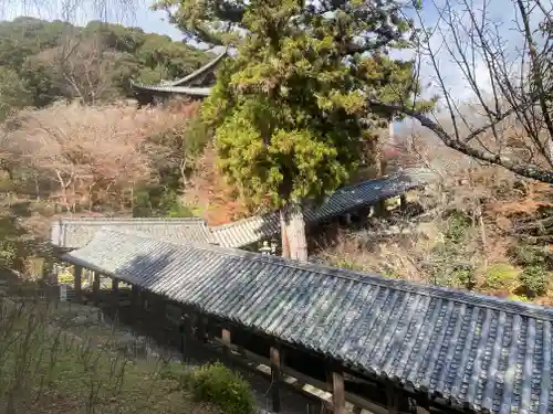 長谷寺(奈良県)