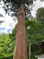 厳島神社(嚴島神社)(福島県)