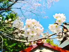 滑川神社 - 仕事と子どもの守り神の自然