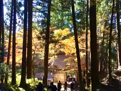 百済寺(滋賀県)