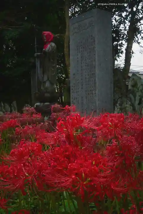 宝蔵院(東京都)