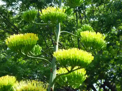 烏森神社(東京都)