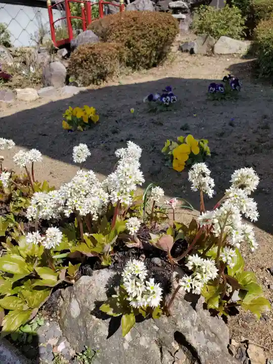 大鏑神社の自然