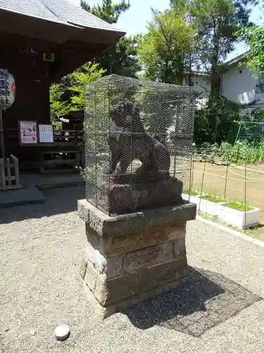 御霊神社の狛犬