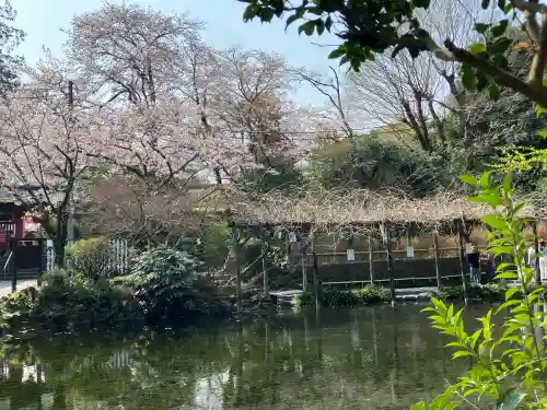 富士山本宮浅間大社の{uncategorized: "未分類", other: "その他", undefined: "問題あり", building: "その他建物", grave: "お墓", sacred_gate: "鳥居", guardian: "狛犬", statue: "像", buddha: "仏像", history: "歴史", nature: "自然", garden: "庭園", animal: "動物", pagoda: "塔", temizu: "手水舎", mountain_gate: "山門・神門", sanctuary: "本殿・本堂", subordinate: "末社・摂社", art: "芸術", scenery: "景色", jizo: "地蔵", ema: "絵馬", goshuin: "御朱印", omikuji: "おみくじ", items: "授与品その他", amulet: "お守り", goshuincho: "御朱印帳", eats: "食事", festival: "お祭り", votive_dance: "神楽", shichigosan: "七五三参", wedding: "結婚式", experience: "体験その他", initially: "初詣", around: "周辺", anti_infection: "感染症対策"}