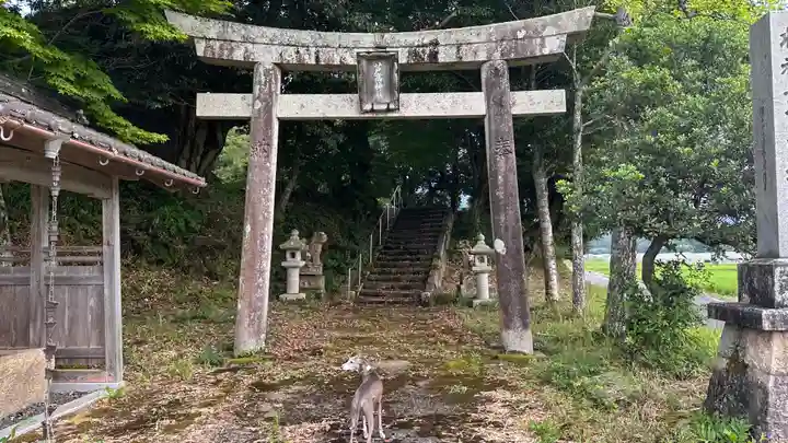 芦高神社(京都府)