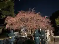 観音神社(広島県)