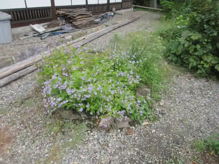 法善寺(埼玉県)