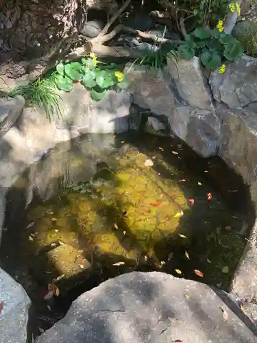 師岡熊野神社の庭園