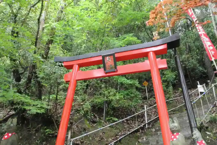 最上稲荷山妙教寺の鳥居