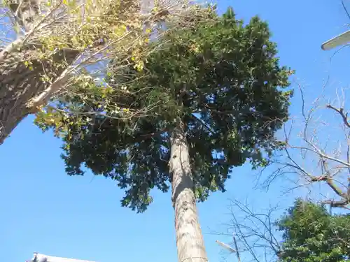 金山神社(神奈川県)