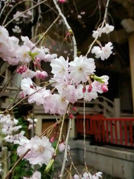 矢先稲荷神社(東京都)