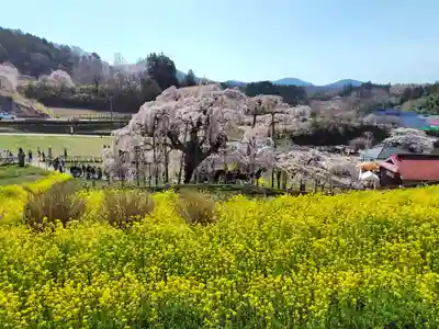 瀧桜神明宮(福島県)