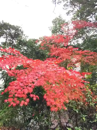 石座神社の自然
