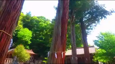 清神社のその他建物