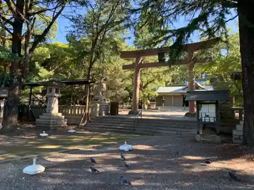 和歌山縣護國神社の鳥居