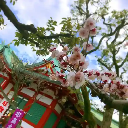 高木神社の自然