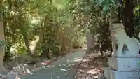 夜疑神社の自然