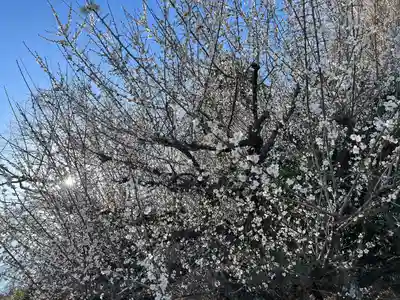 太山寺(栃木県)