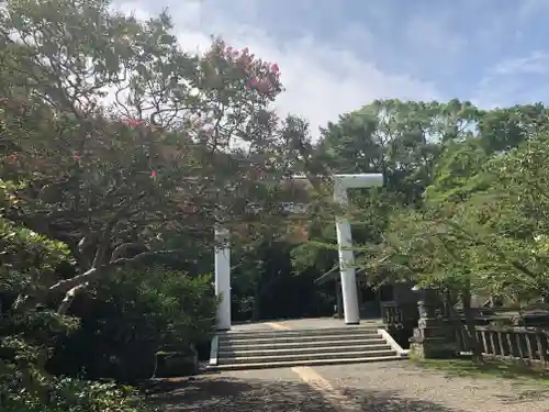 安房神社(千葉県)