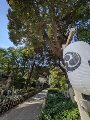 赤坂氷川神社(東京都)