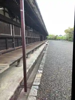 蓮華王院(三十三間堂)の本殿・本堂