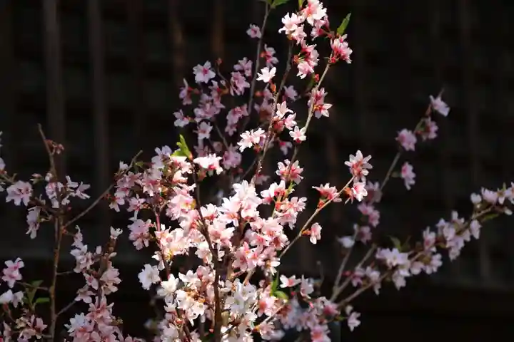 阿邪訶根神社の授与品その他