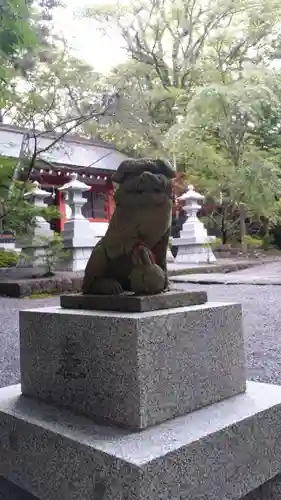 山中浅間神社の狛犬