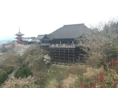 清水寺の景色