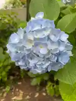 白山神社(東京都)