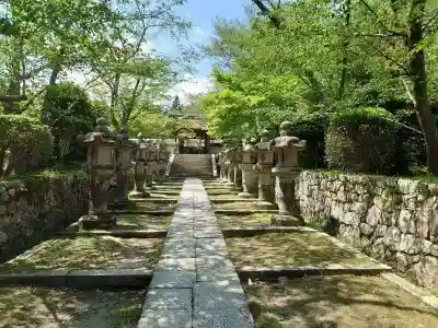 園城寺（三井寺）(滋賀県)