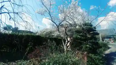 香勝寺(静岡県)