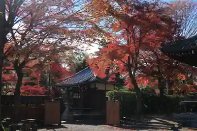 能仁寺(埼玉県)