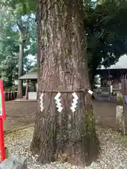 野々宮神社(埼玉県)