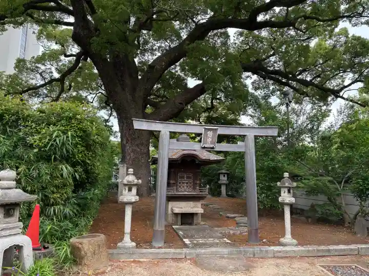 海清寺の{uncategorized: "未分類", other: "その他", undefined: "問題あり", building: "その他建物", grave: "お墓", sacred_gate: "鳥居", guardian: "狛犬", statue: "像", buddha: "仏像", history: "歴史", nature: "自然", garden: "庭園", animal: "動物", pagoda: "塔", temizu: "手水舎", mountain_gate: "山門・神門", sanctuary: "本殿・本堂", subordinate: "末社・摂社", art: "芸術", scenery: "景色", jizo: "地蔵", ema: "絵馬", goshuin: "御朱印", omikuji: "おみくじ", items: "授与品その他", amulet: "お守り", goshuincho: "御朱印帳", eats: "食事", festival: "お祭り", votive_dance: "神楽", shichigosan: "七五三参", wedding: "結婚式", experience: "体験その他", initially: "初詣", around: "周辺", anti_infection: "感染症対策"}