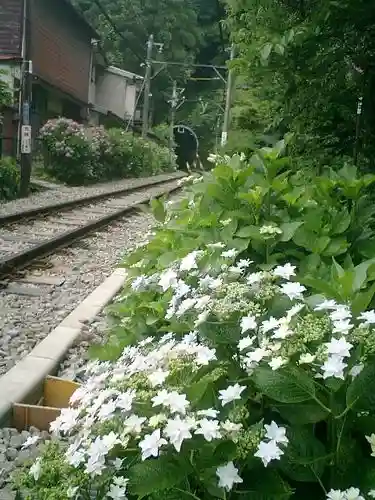 御霊神社の周辺
