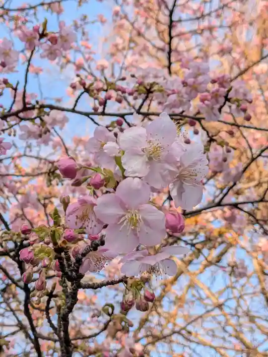 蓮華寺(東京都)