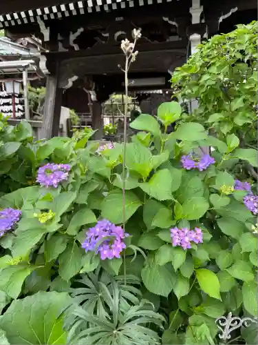 白山神社(東京都)