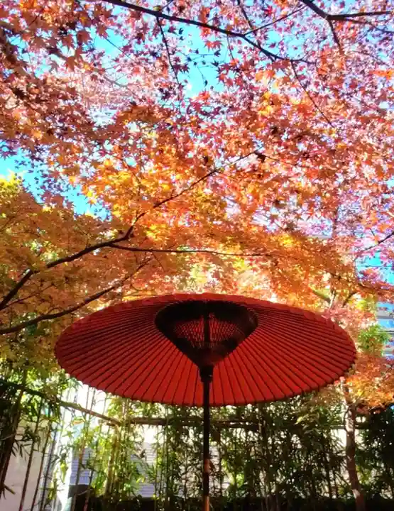 陽運寺(東京都)