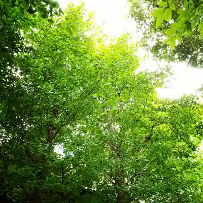 白髭神社のその他建物