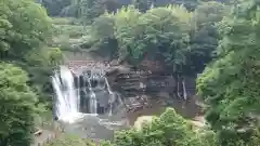 大平寺の自然